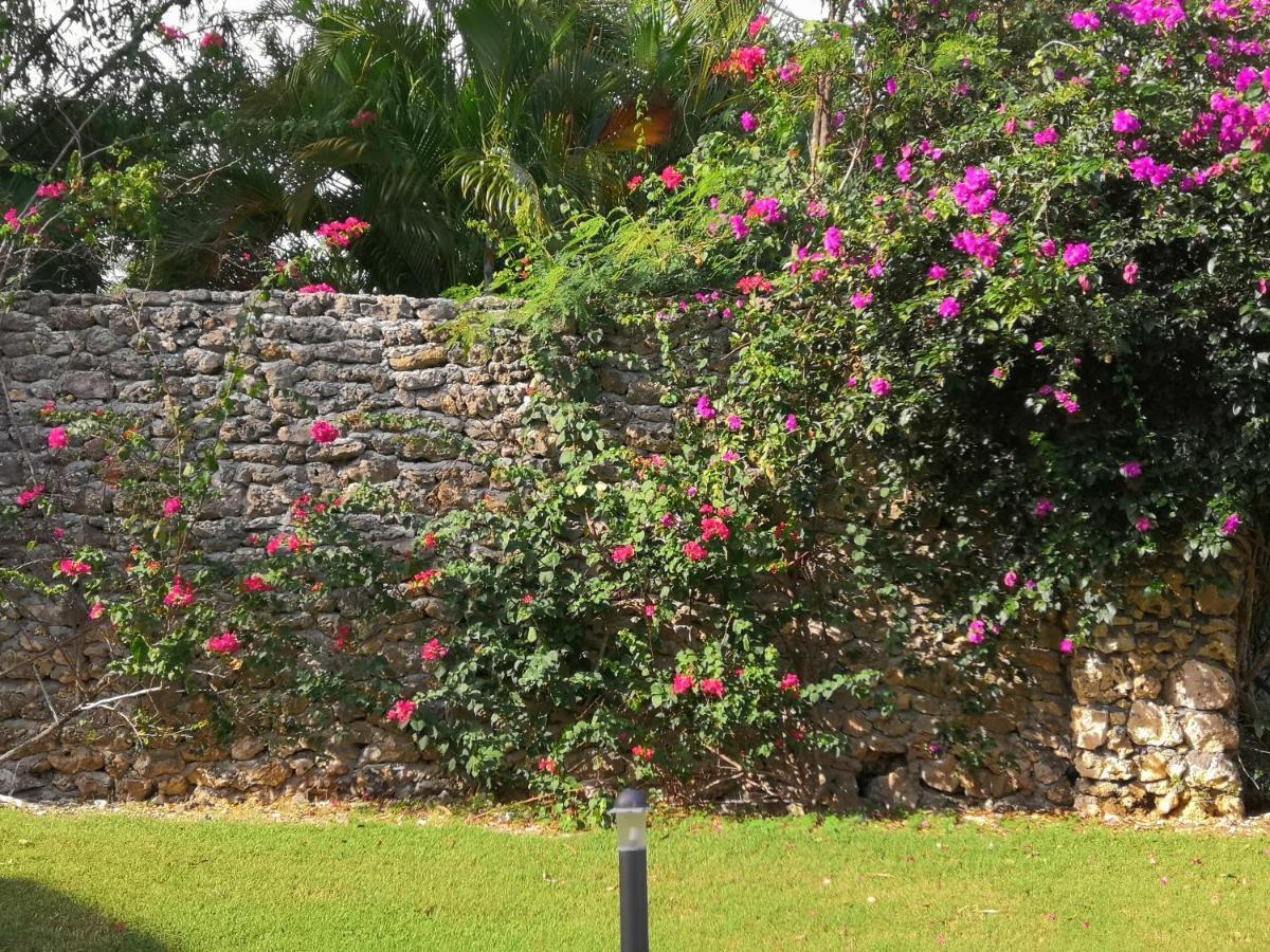 Le Muscadier Sainte-Anne  Ngoại thất bức ảnh